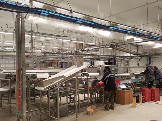 portfolio single project